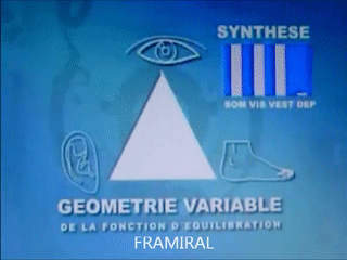Géométrie variable du degré d'utilisation des entrées sensorielles